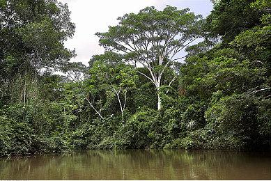 赛博朋克高速砍杀游戏《东京地下杀手》 现已登陆Steam新品节